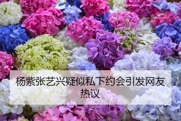 杨紫张艺兴疑似私下约会引发网友热议